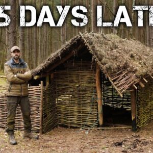 Viking Inspired Bushcraft Shelter 1,245 Days later - What's it like now?