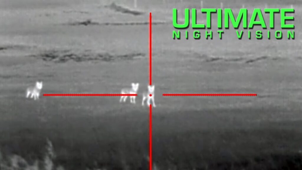 Coyote Hunting with Thermal - 13 Coyotes Down with the ATN ThOR Thermal Scope